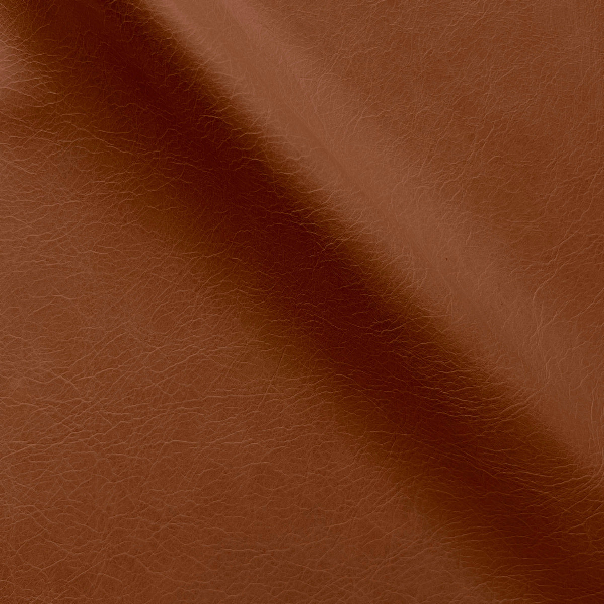 Atlas Cognac