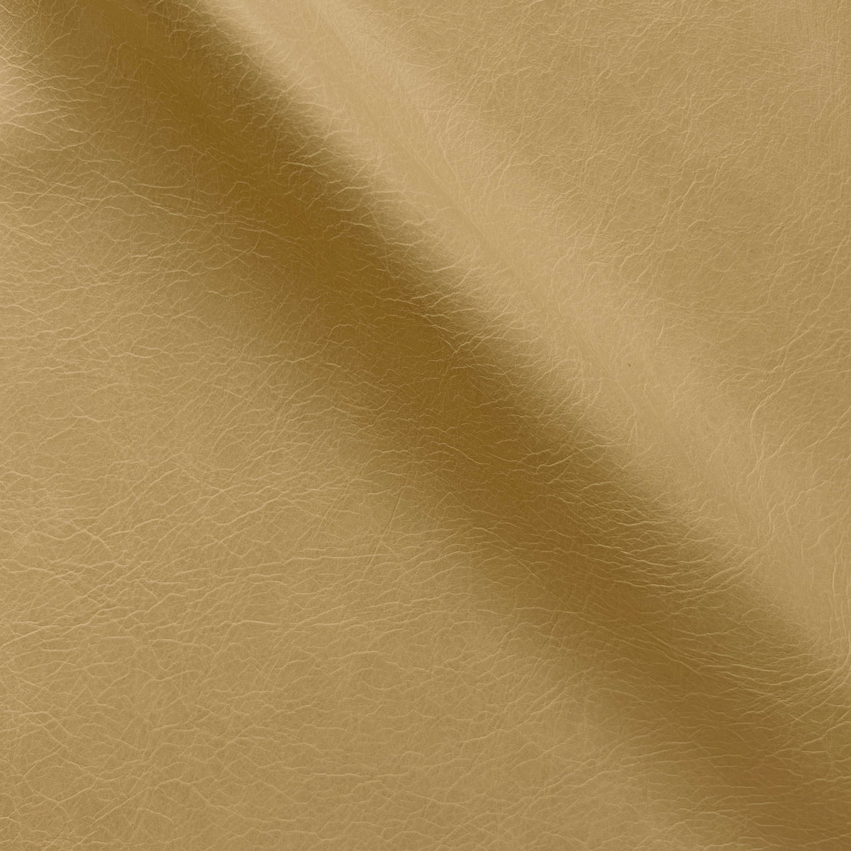 Atlas Wheat