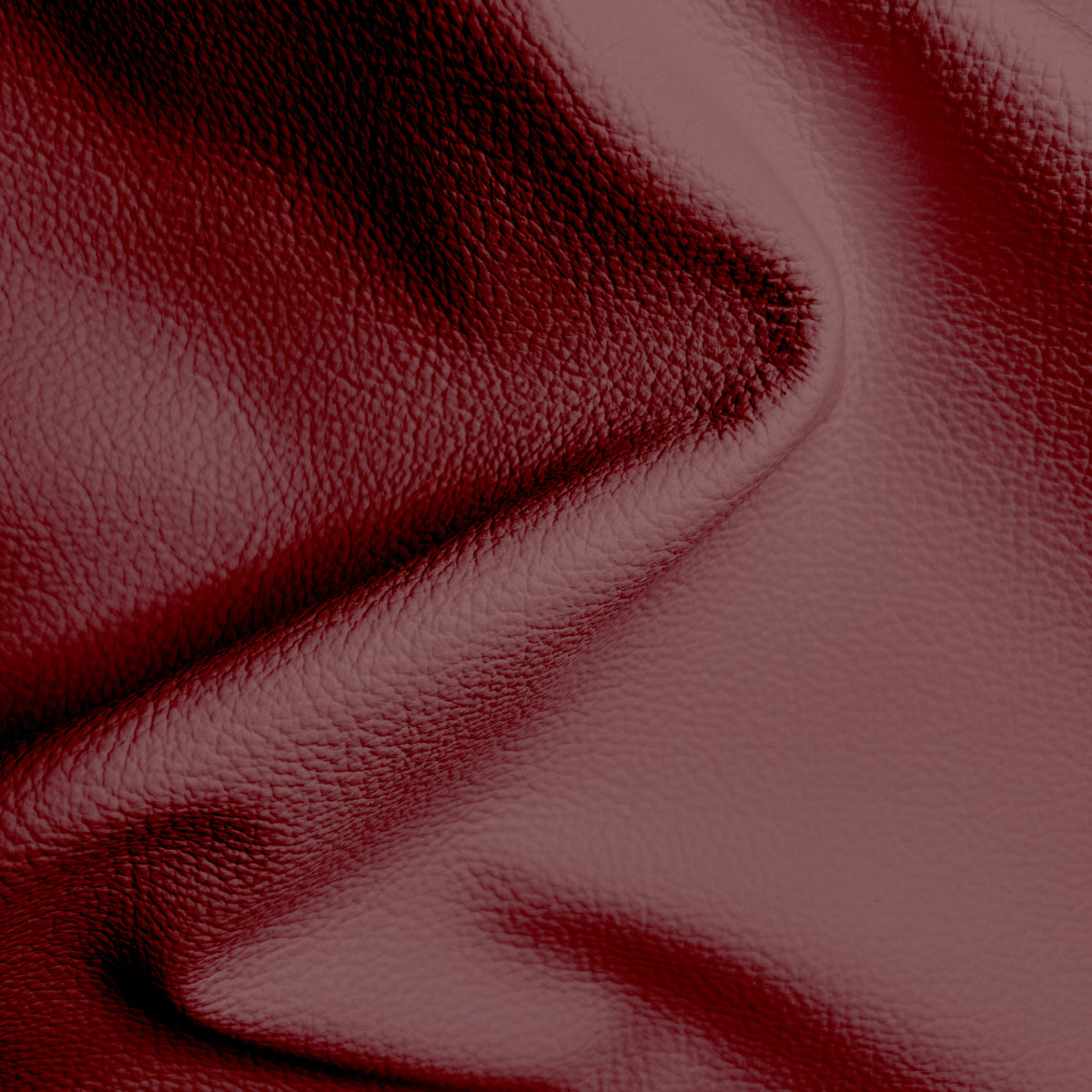 Cypress Claret