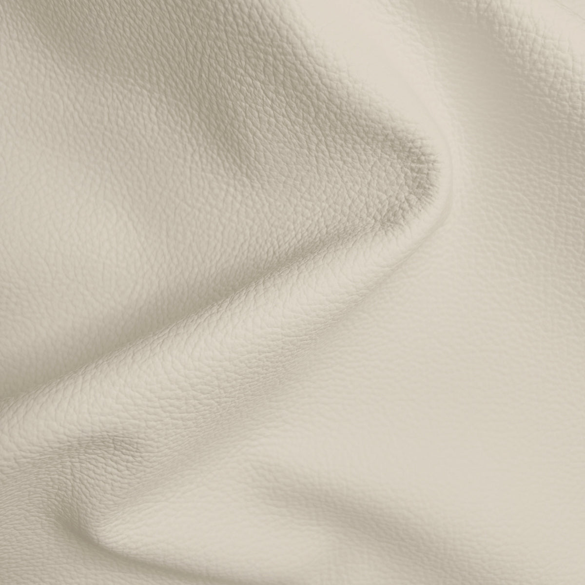 Cypress Porcelain