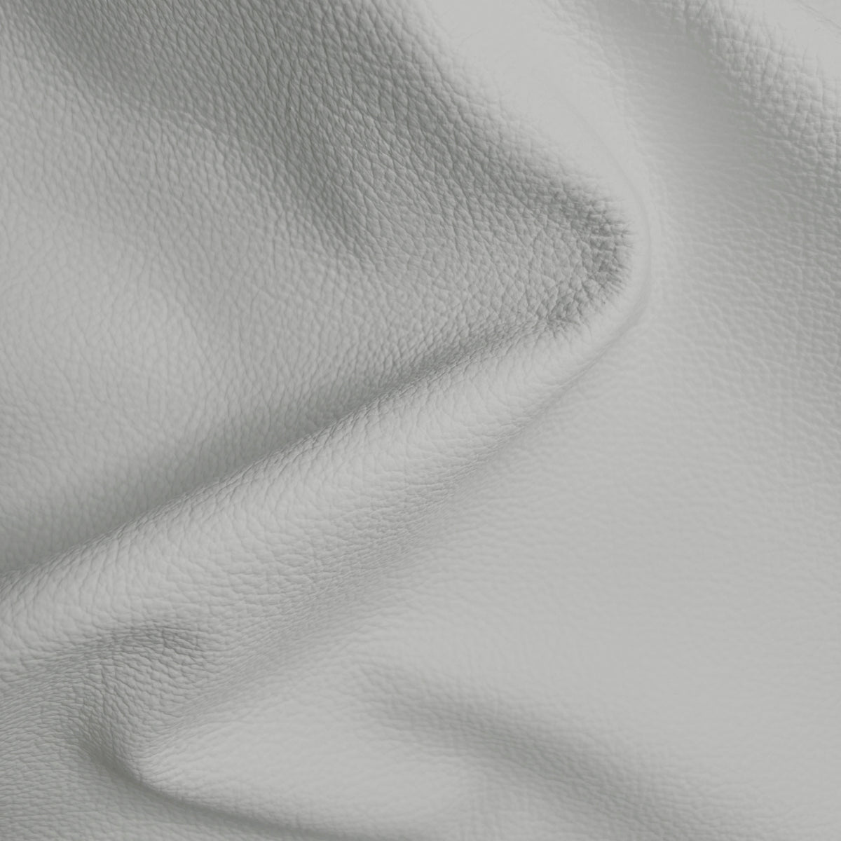 Cypress Silver Grey