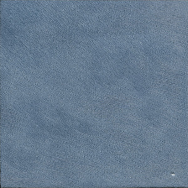 Periwinkle / Article A42