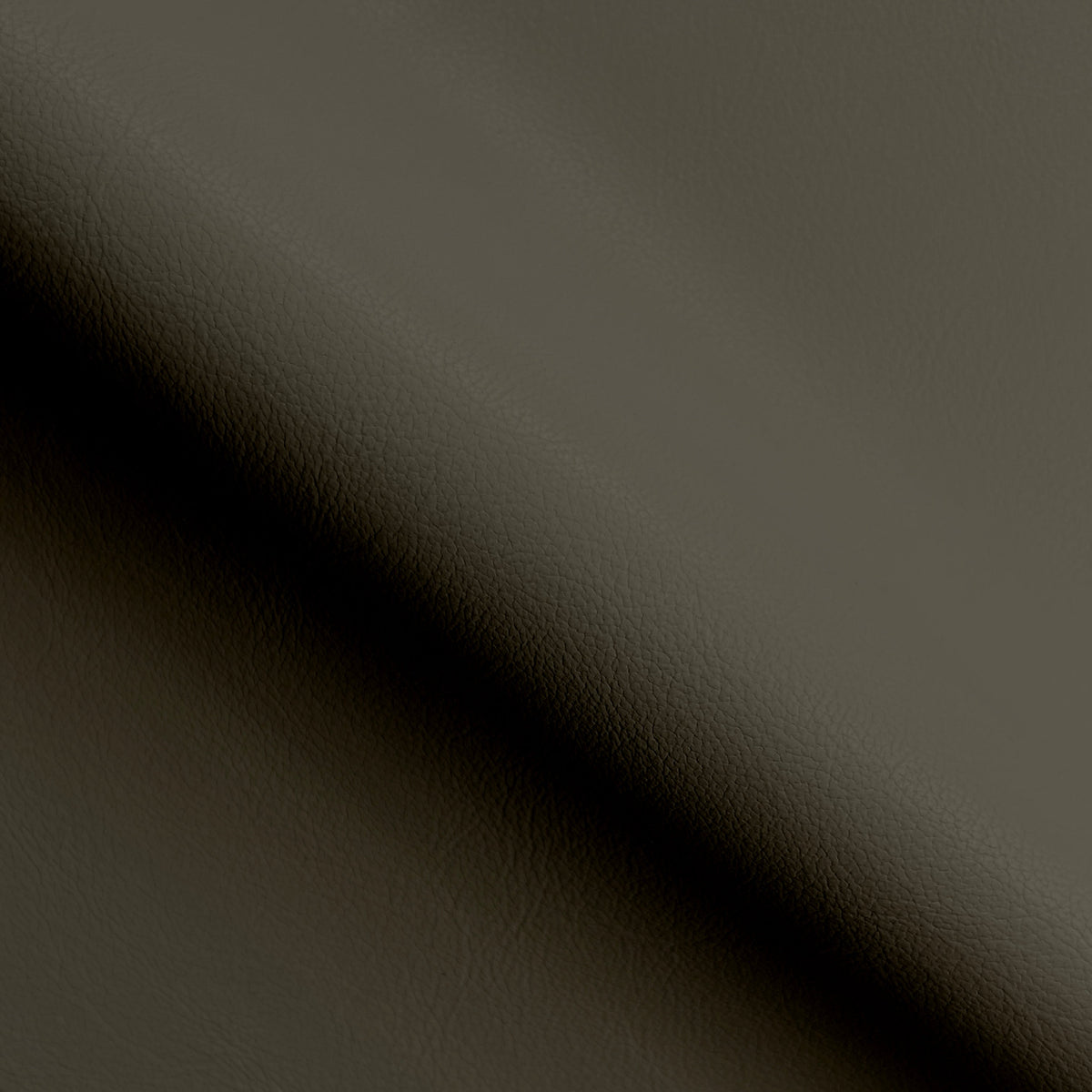 Chocolate Ravel