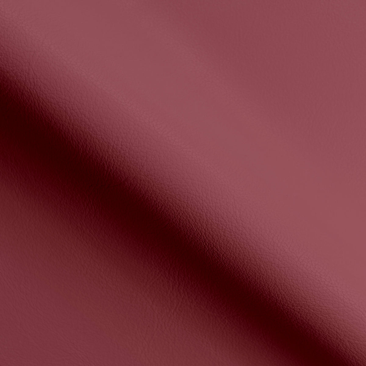 Wine Ravel