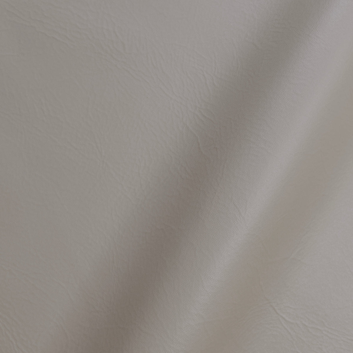 Taupe Shimmer