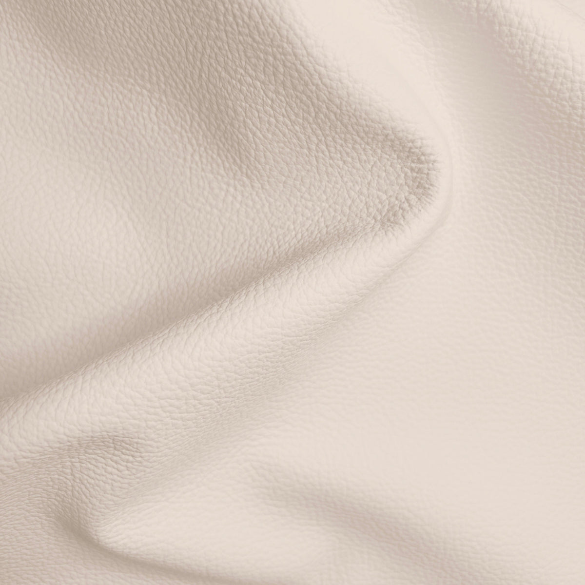 Neutrals