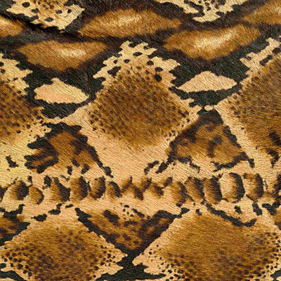 King Cobra / 5-111