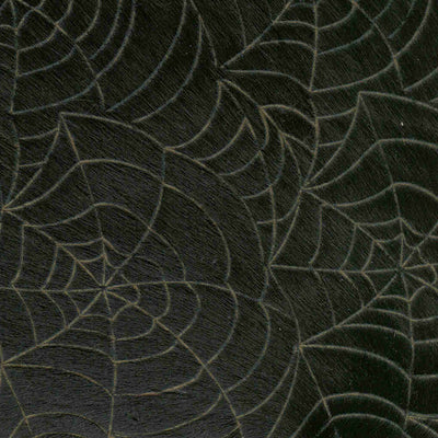 A Spiders Web Inc / 1-E07