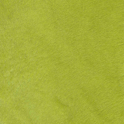 Crocodile Basic / 1-S34