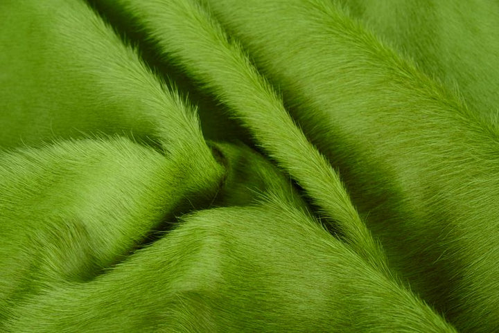 Grass
