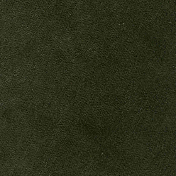 Leopard Doesn't Change it's Spots / 6-11