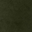 Black Forest Green