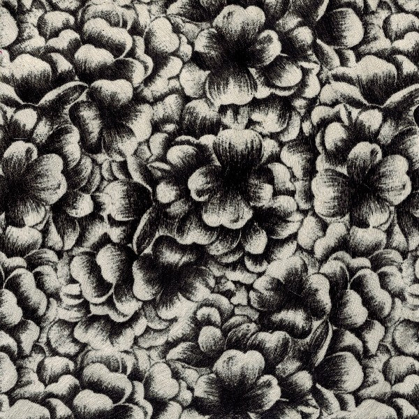 Blooms / 6-198