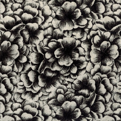 Blooms / 6-198