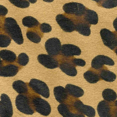 Animal Instinct / 5-9