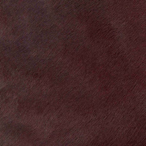 Crocodile Basic / 1-S34