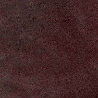 Crocodile Basic / 1-S34