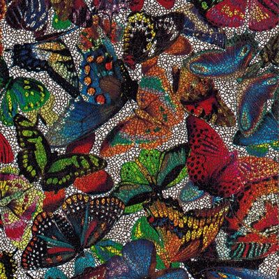 Butterflies / C2-FA95