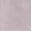 Ivory C09