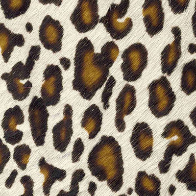Leopard Doesn't Change it's Spots / 6-11