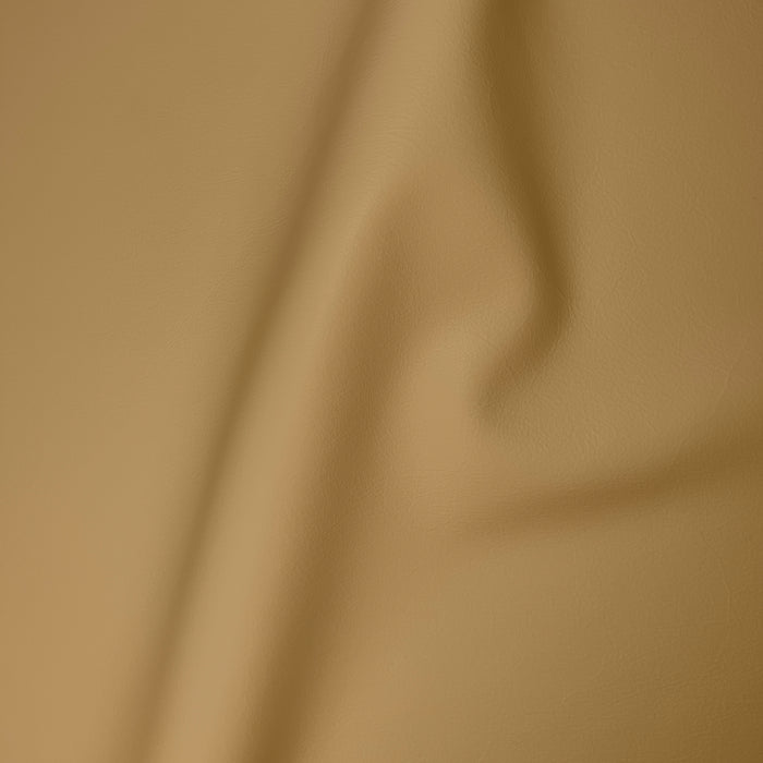 Carmela Apricot
