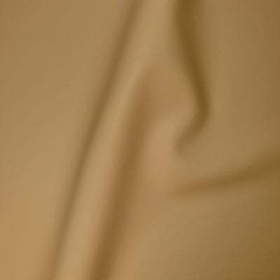 Carmela Apricot