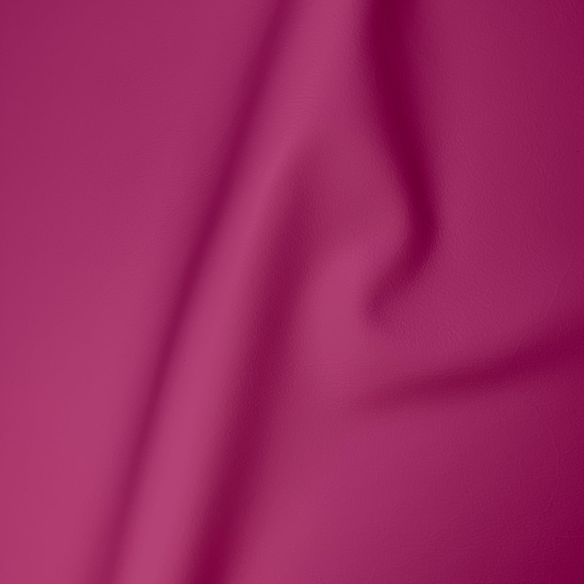 Carmela Fuchsia