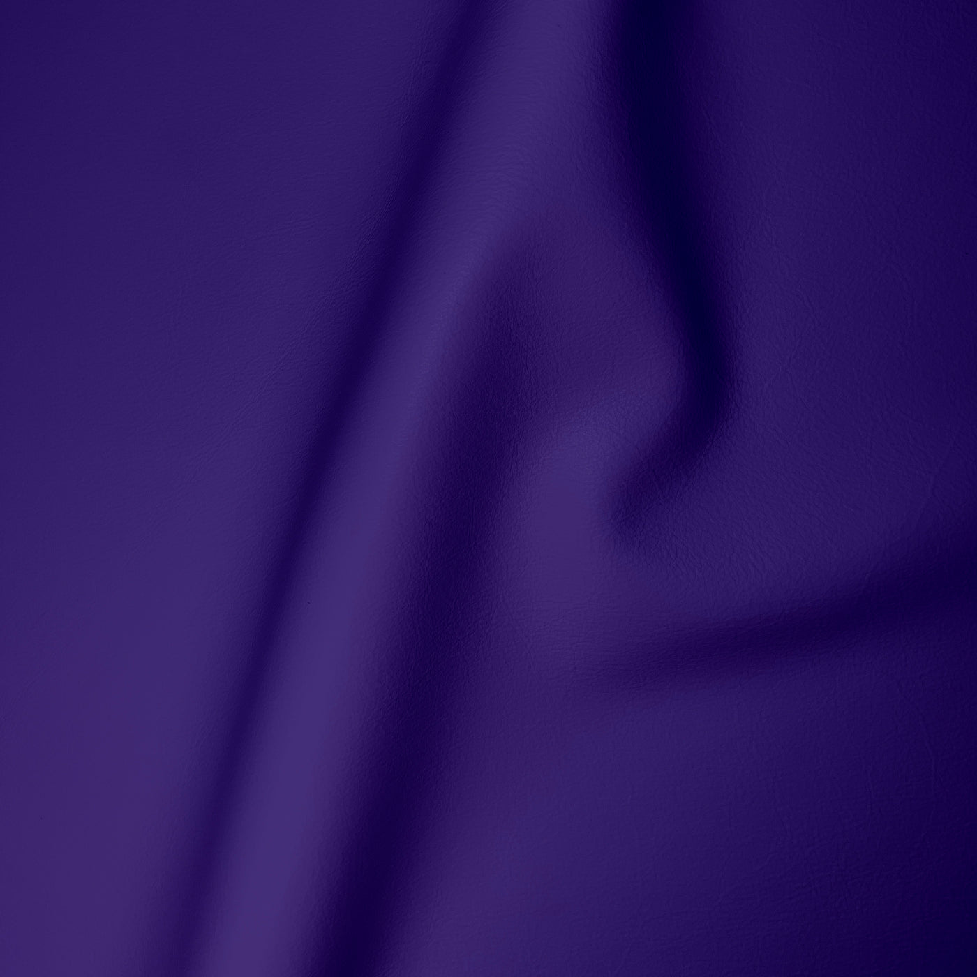 Carmela Purple