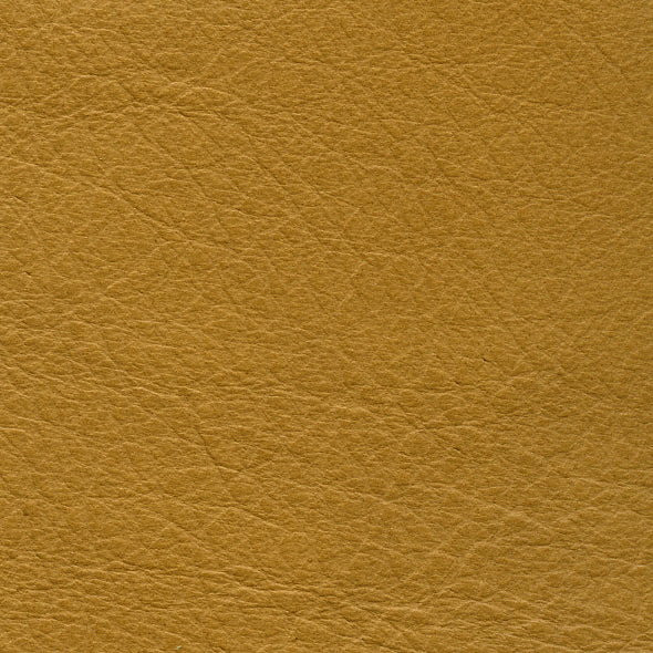 Carmela Apricot