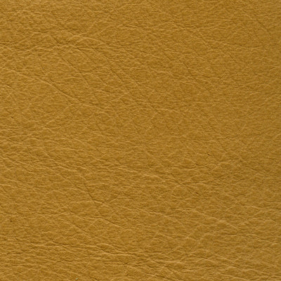 Carmela Apricot
