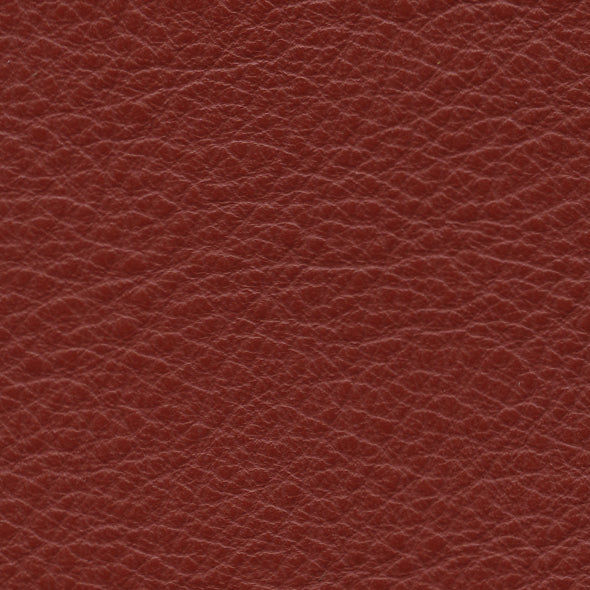 Carmela Berry Red
