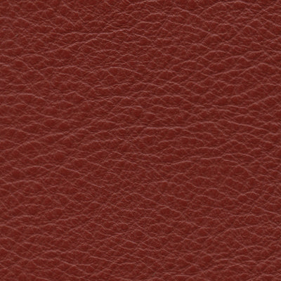 Carmela Berry Red