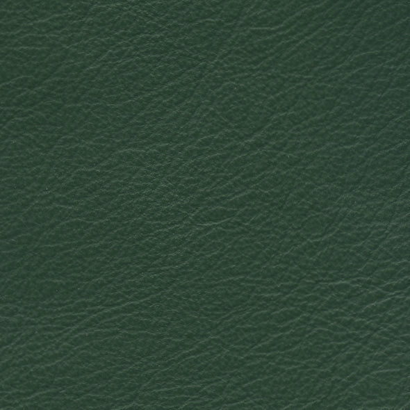 Carmela Bottle Green
