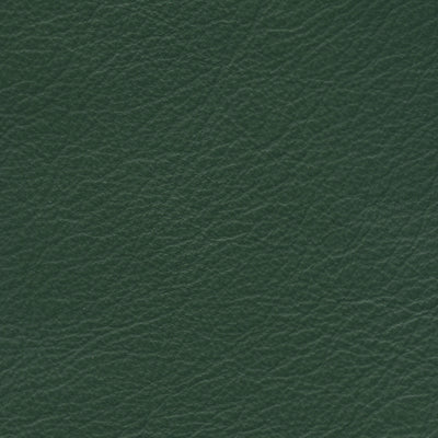 Carmela Bottle Green