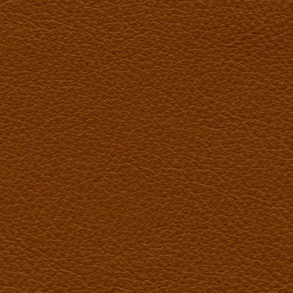 Carmela Burnt Caramel
