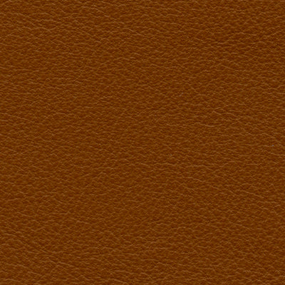 Carmela Burnt Caramel
