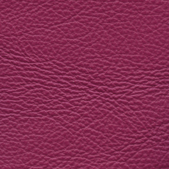 Carmela Fuchsia
