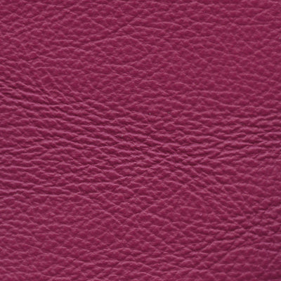 Carmela Fuchsia
