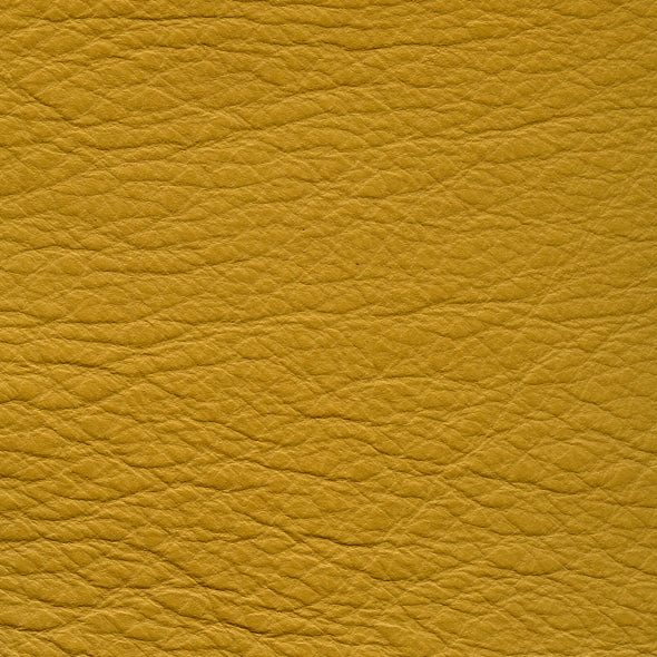 Carmela Mustard