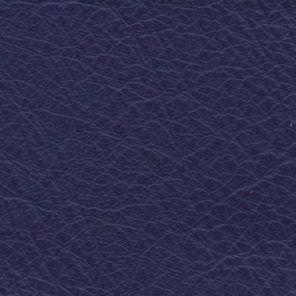 Carmela Purple
