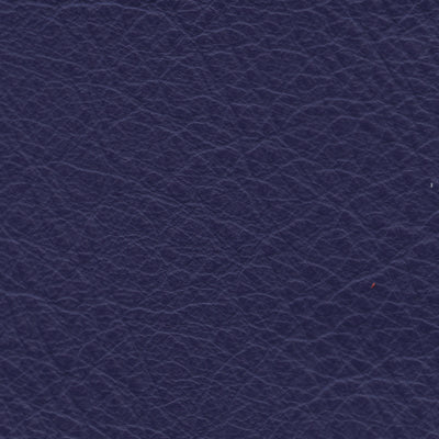 Carmela Purple