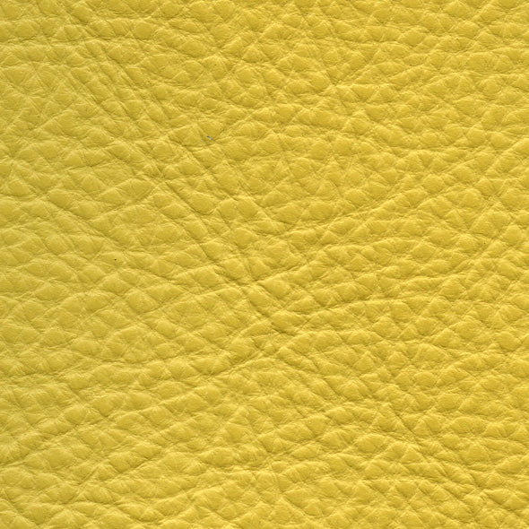 Carmela Warm Yellow
