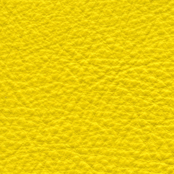 Carmela Zest