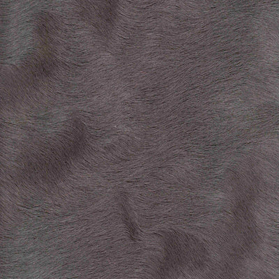 Crocodile Basic / 1-S34