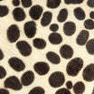 Ivory 6-2