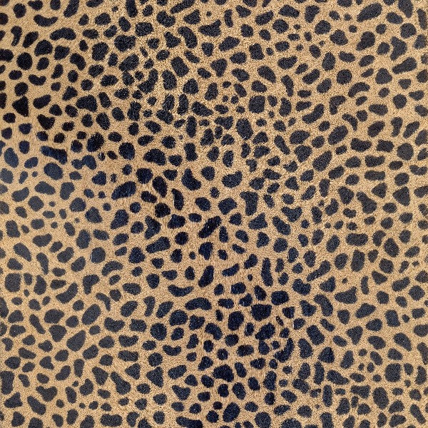 Cheetah IV / 5-161
