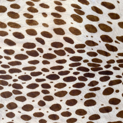Cheetah VI / 6-144-TM