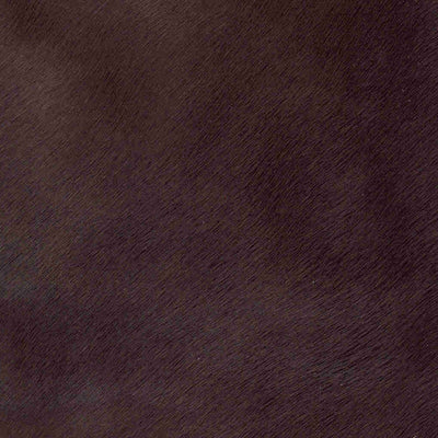 Crocodile Basic / 1-S34