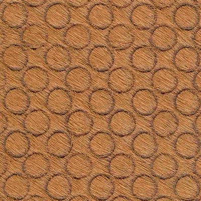 Circles Inc / 3-E16