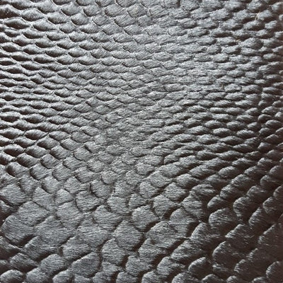 Croco Chic / 1-S53